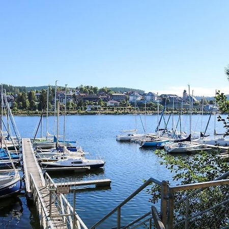 Fewo Sperlingskauz Mit Pool, Sauna & Hochschwarzwaldcard Schluchsee Exteriér fotografie