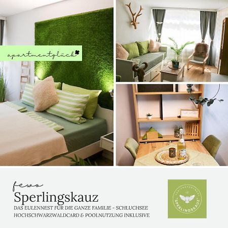 Fewo Sperlingskauz Mit Pool, Sauna & Hochschwarzwaldcard Schluchsee Exteriér fotografie