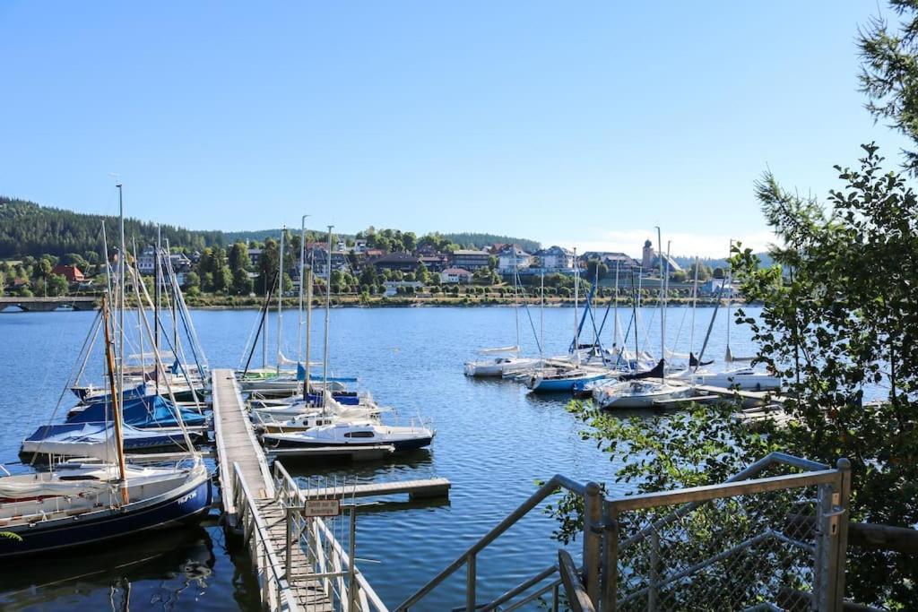 Fewo Sperlingskauz Mit Pool, Sauna & Hochschwarzwaldcard Schluchsee Exteriér fotografie