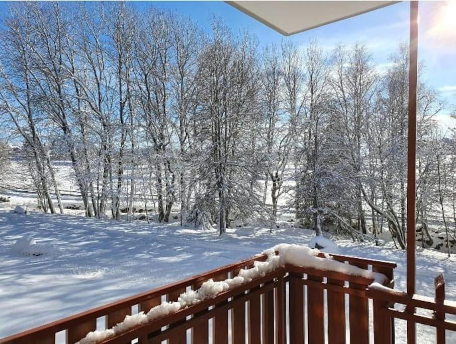 Fewo Sperlingskauz Mit Pool, Sauna & Hochschwarzwaldcard Schluchsee Exteriér fotografie