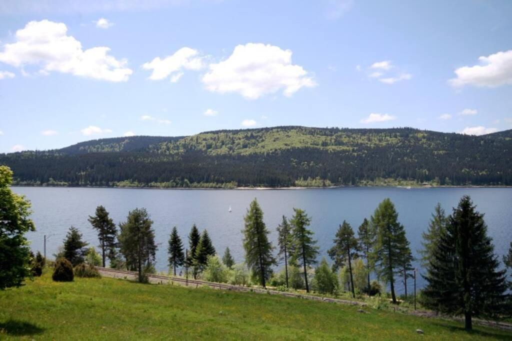 Fewo Sperlingskauz Mit Pool, Sauna & Hochschwarzwaldcard Schluchsee Exteriér fotografie