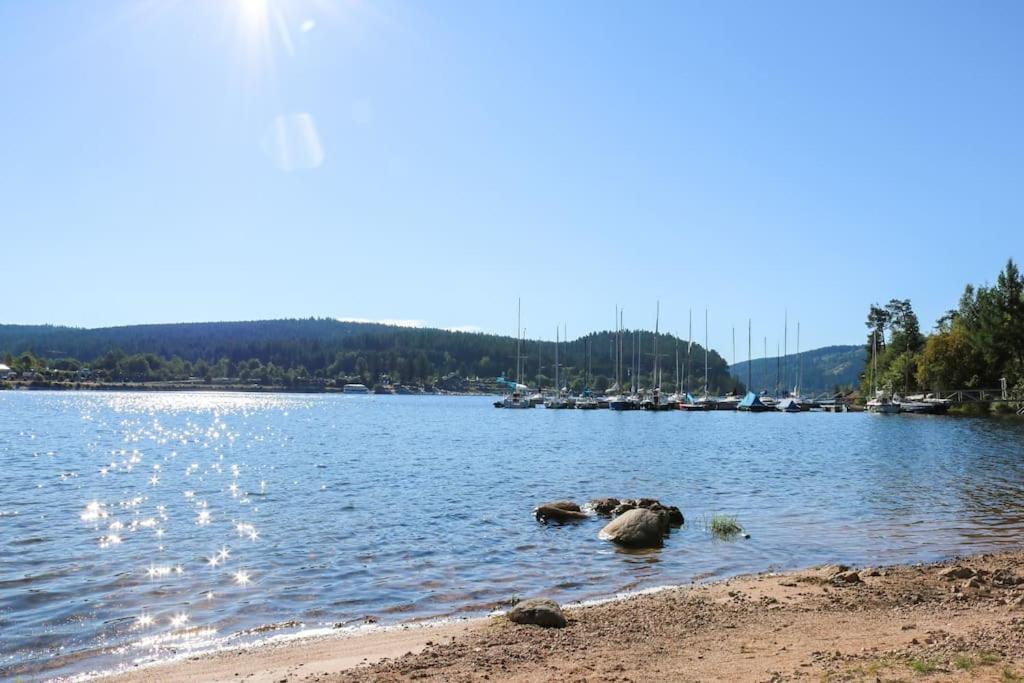 Fewo Sperlingskauz Mit Pool, Sauna & Hochschwarzwaldcard Schluchsee Exteriér fotografie