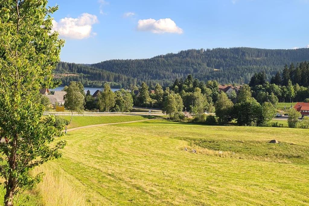 Fewo Sperlingskauz Mit Pool, Sauna & Hochschwarzwaldcard Schluchsee Exteriér fotografie