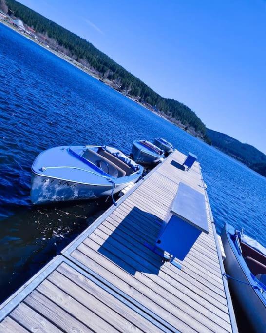 Fewo Sperlingskauz Mit Pool, Sauna & Hochschwarzwaldcard Schluchsee Exteriér fotografie