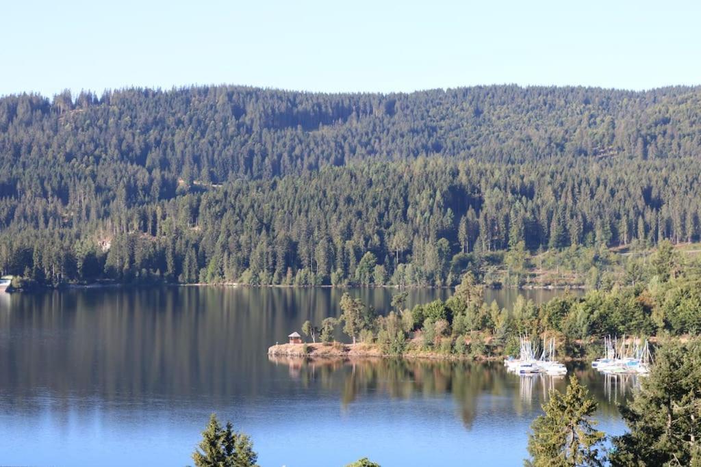 Fewo Sperlingskauz Mit Pool, Sauna & Hochschwarzwaldcard Schluchsee Exteriér fotografie
