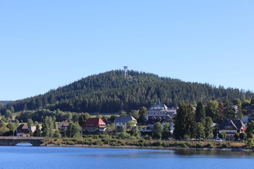 Fewo Sperlingskauz Mit Pool, Sauna & Hochschwarzwaldcard Schluchsee Exteriér fotografie