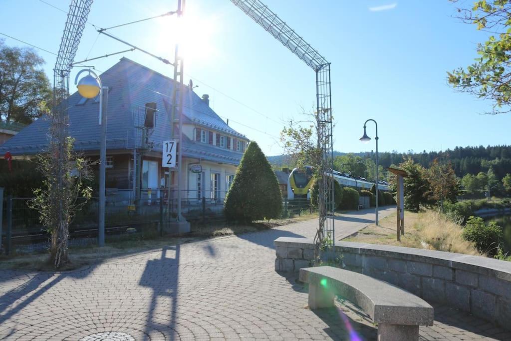 Fewo Sperlingskauz Mit Pool, Sauna & Hochschwarzwaldcard Schluchsee Exteriér fotografie