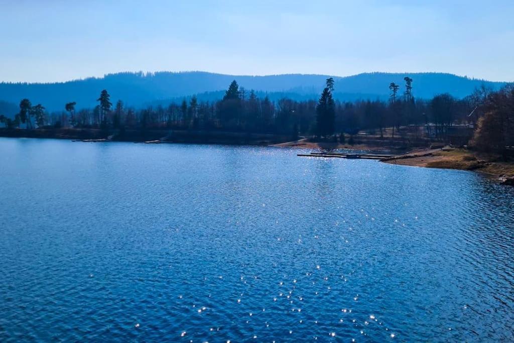 Fewo Sperlingskauz Mit Pool, Sauna & Hochschwarzwaldcard Schluchsee Exteriér fotografie