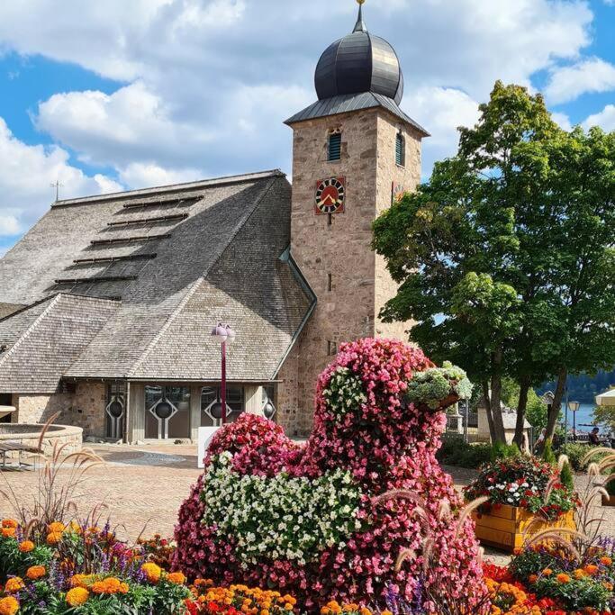 Fewo Sperlingskauz Mit Pool, Sauna & Hochschwarzwaldcard Schluchsee Exteriér fotografie