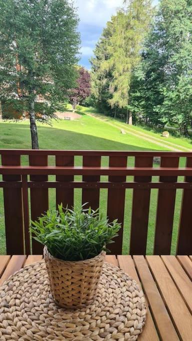 Fewo Sperlingskauz Mit Pool, Sauna & Hochschwarzwaldcard Schluchsee Exteriér fotografie